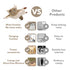 PETFUTURE Flapping Cat Toy, Motion Activated Flying Squirrel with Catnip, 3 Modes & USB Rechargeable, Machine Washable Interactive Toy for Indoor Cats