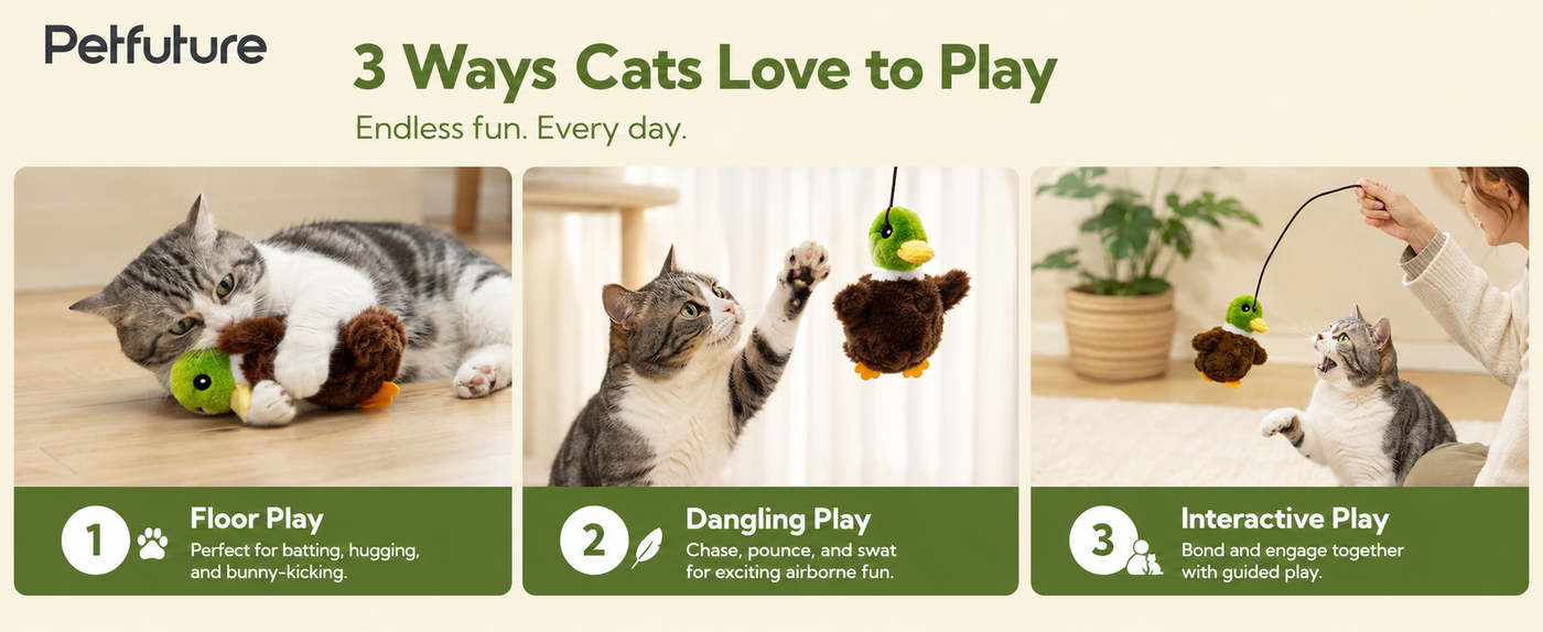 PETFUTURE Flapping Cat Toy, Motion Activated Duck with Catnip, 3 Modes & USB Rechargeable, Machine Washable Interactive Toy for Indoor Cats