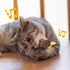 PETFUTURE Flapping Bird Cat Toy, Motion Activated with Catnip, 3 Modes & USB Rechargeable, Machine Washable Interactive Toy for Indoor Cats