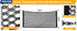 Truck Bed Cargo Net Elastic Mesh SUV Trunk Netting for Car Trunk Organizer and Truck Bed Organizer with Locking Hooks 35.4 by 15.8 Inches